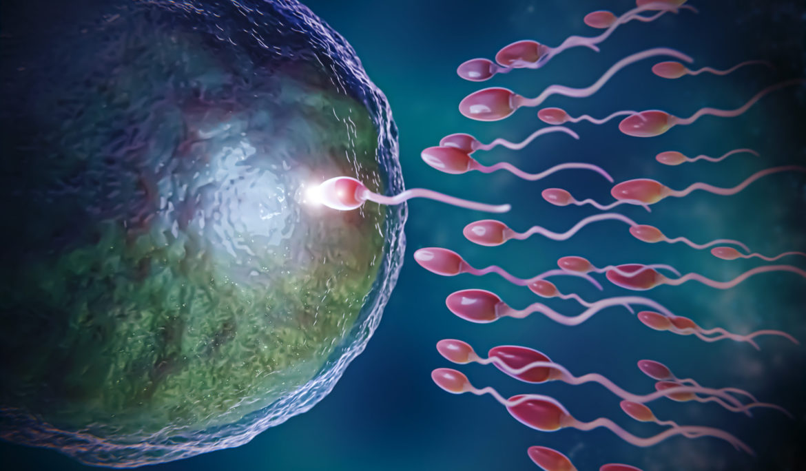 Azoospermia and IVF: Overcoming Male Infertility Challenges