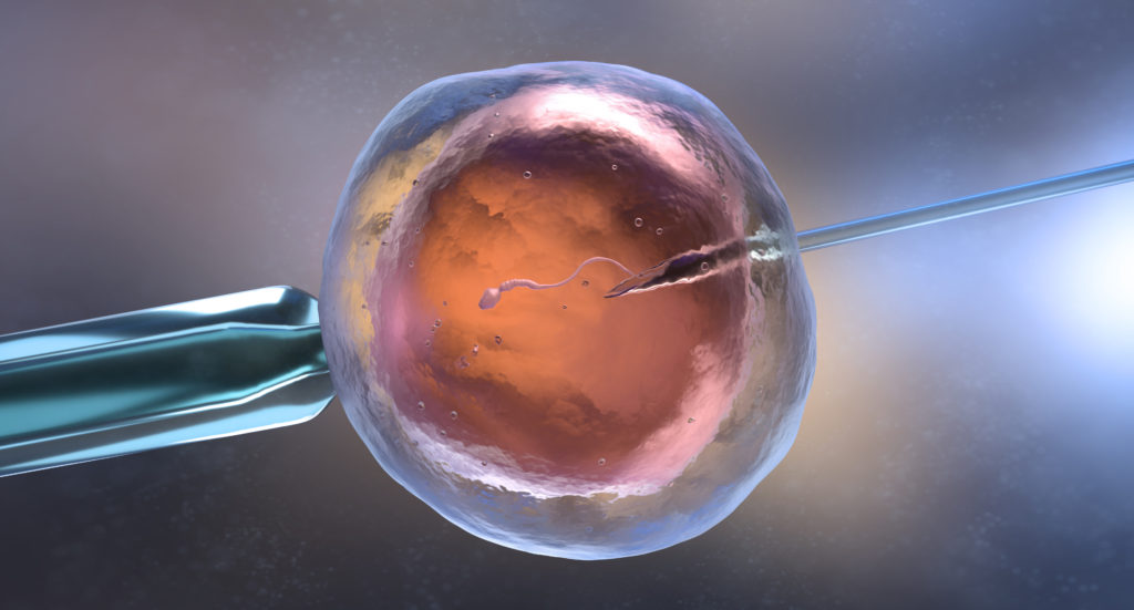 The Science Behind IVF: Understanding the Basics