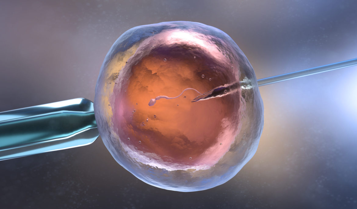 The Science Behind IVF: Understanding the Basics