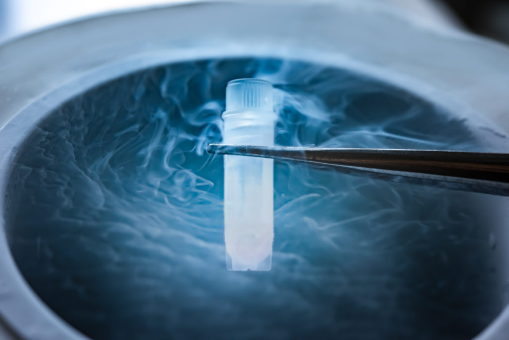 Egg Freezing: Everything You Need to Know About This Fertility Preservation Option