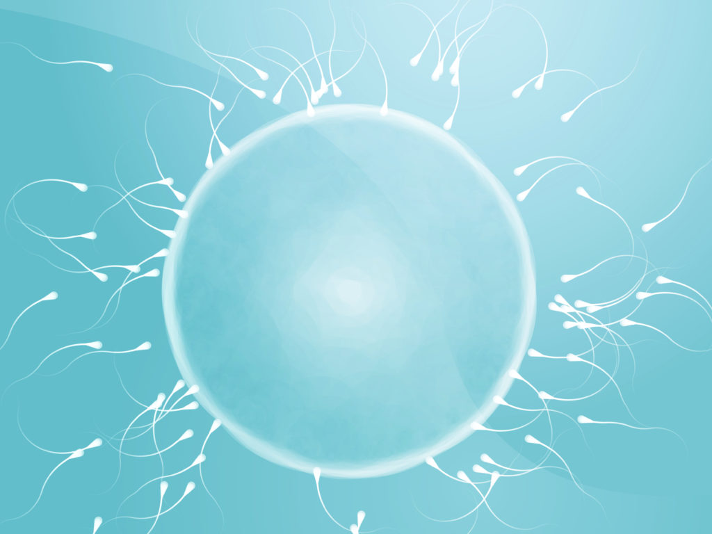 Fresh vs. Frozen Embryo Transfer: Which Is Best for You?