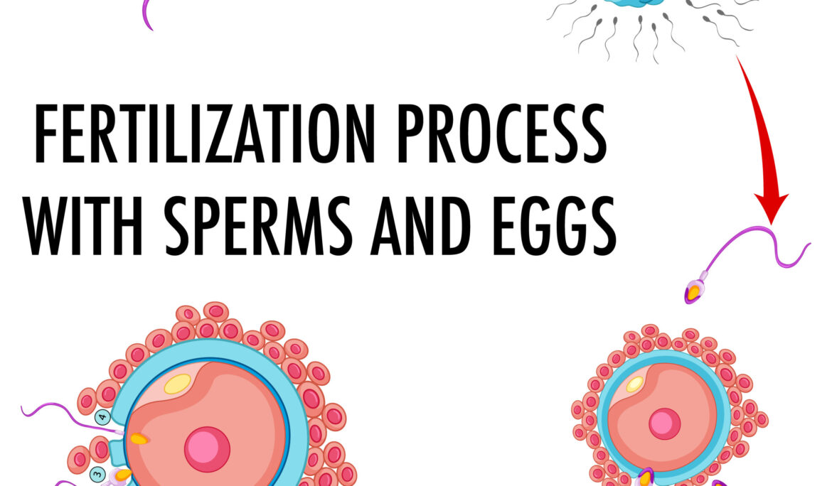 Who Needs Donor Sperm? Understanding Eligibility and Benefits