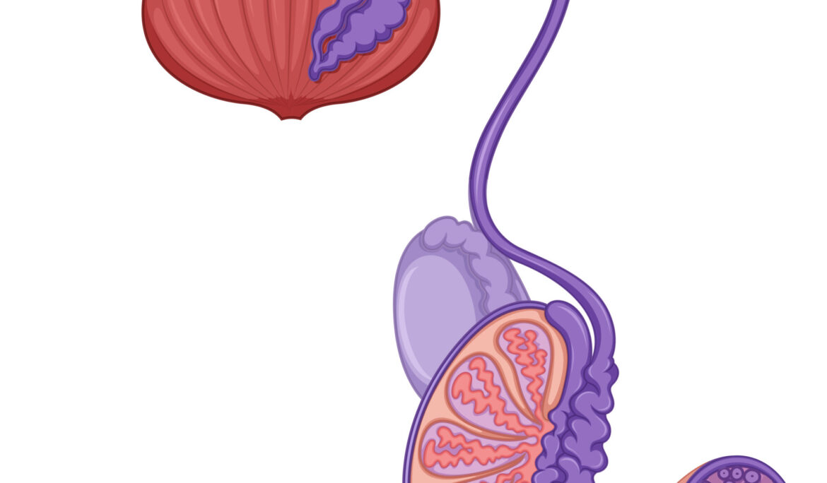 Is MKH Therapy Effective for Men with Low Sperm Count or Poor Motility?