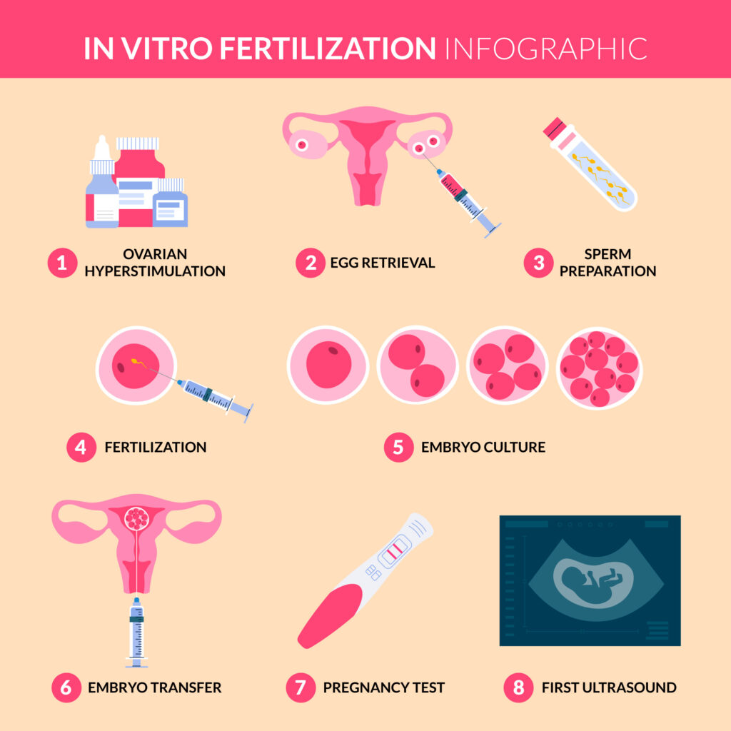 How Are Egg Donors Compensated?