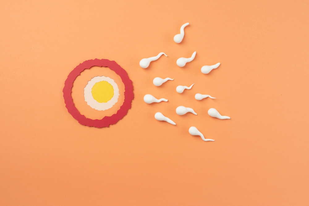 What Are the Latest Treatments for Male Infertility Linked to Sperm Issues?