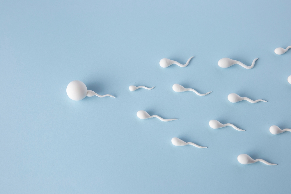 Is It Possible for Sperm to Travel Through Clothes?